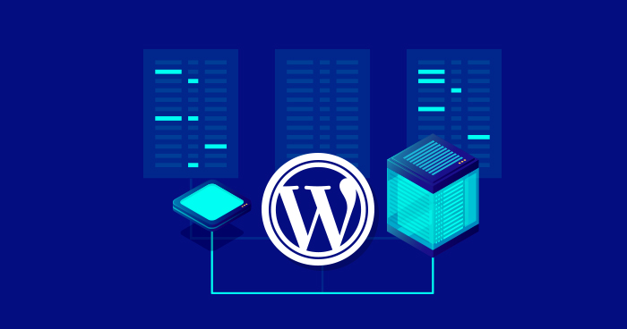 Which WordPress Website Hosting You Choose