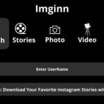 Imginn Instagram Quick Start Guide