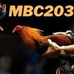 What is Mbc2030 live? Method to Signup and Login Process