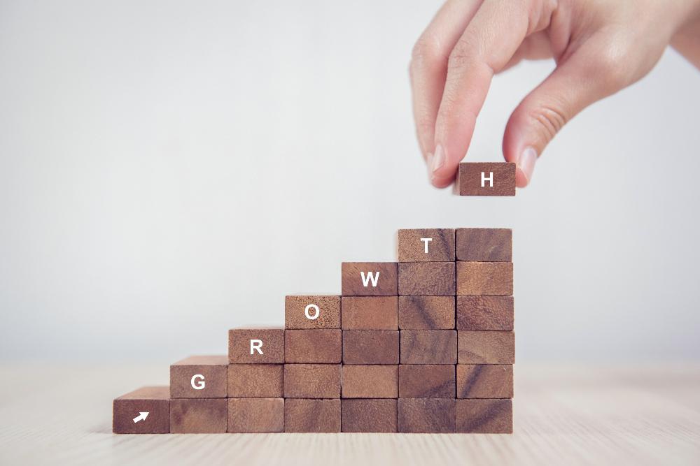 What is business growth and why is it important?